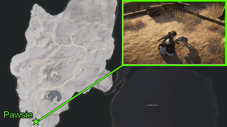 Find Pawsie in Squarewall Hold