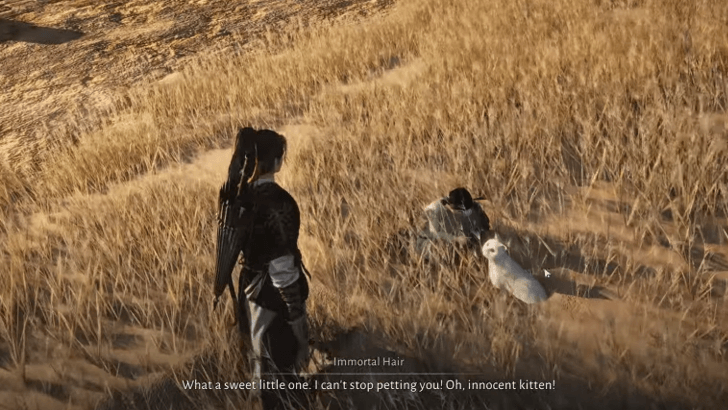 Seek Help from Immortal Hair