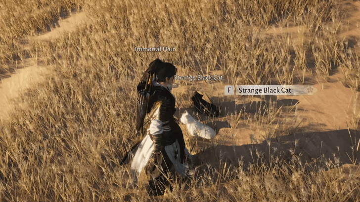 Pet the Strange Black Cat