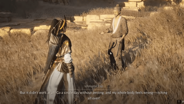 Ask Help from Immortal Cap