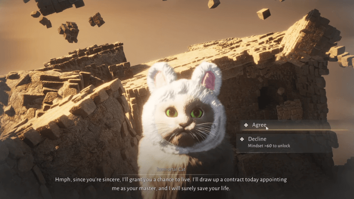 Agree or Disagree with the Immortal Cat