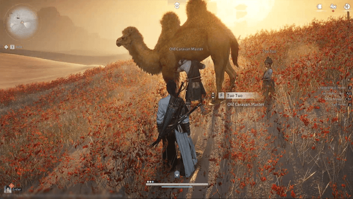 Same Origin, Different Paths