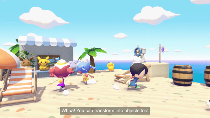 Hide-and-Seek Hiding