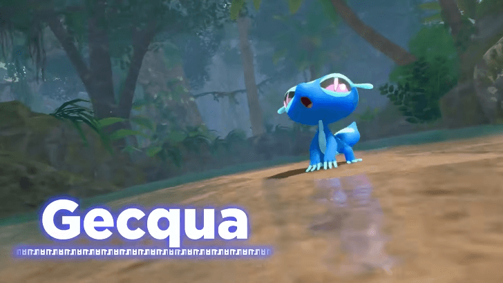 Gecqua reveal