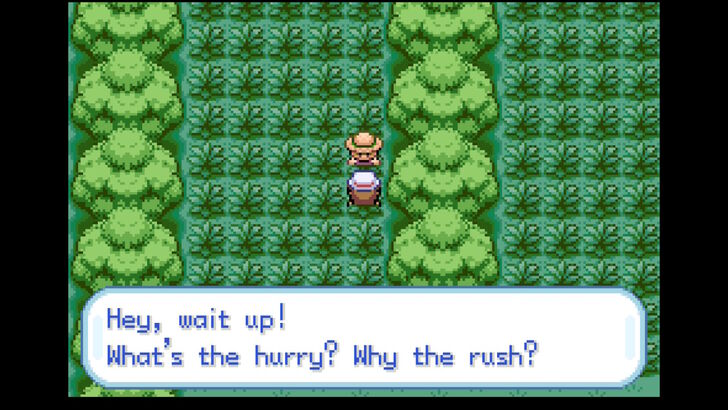 pokemon firered being spotted for a fight