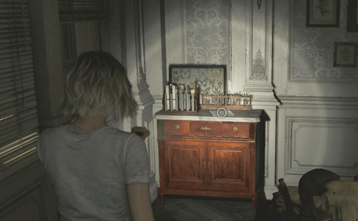 Lead Researcher’s Message