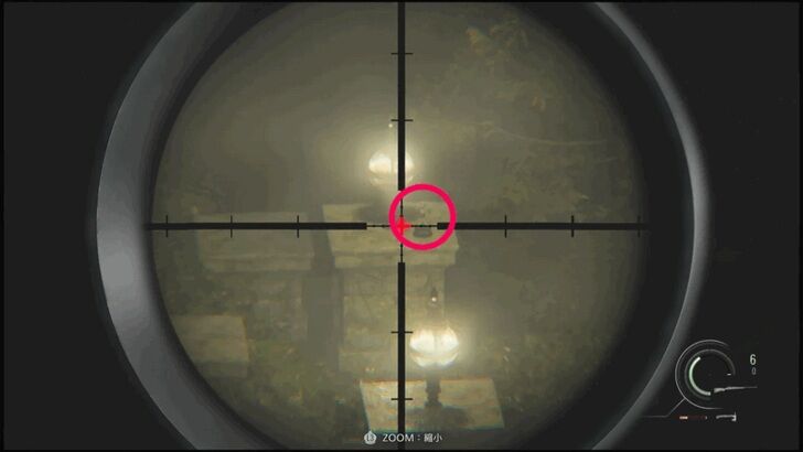 Mr. Raccoon Memoriam