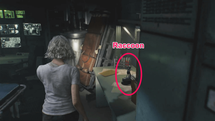 Raccoon in Private Lab