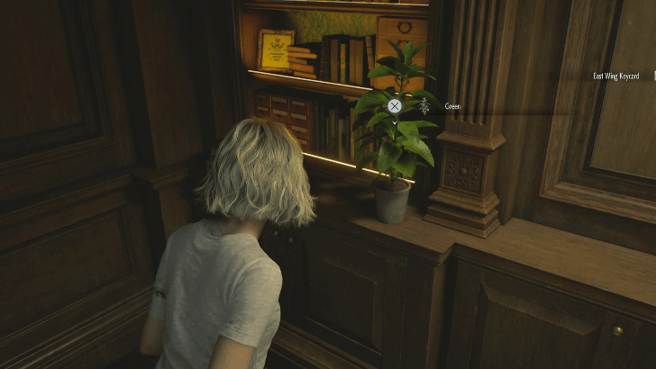 Green Herb Overworld Location