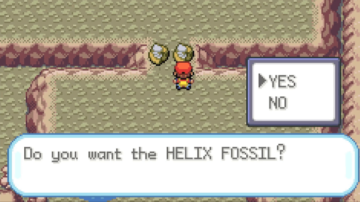 Fossils