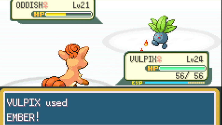 15 - Celadon City Gym