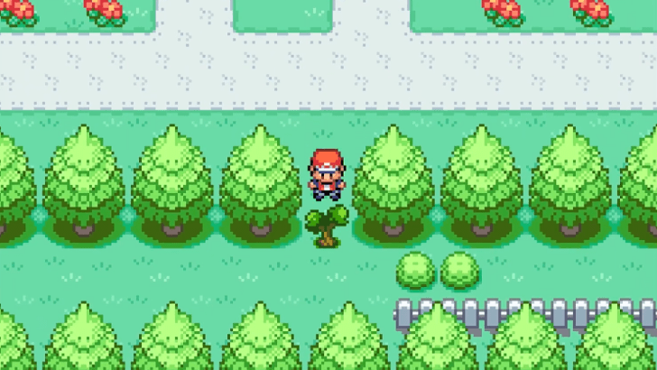 16 - Celadon City Gym