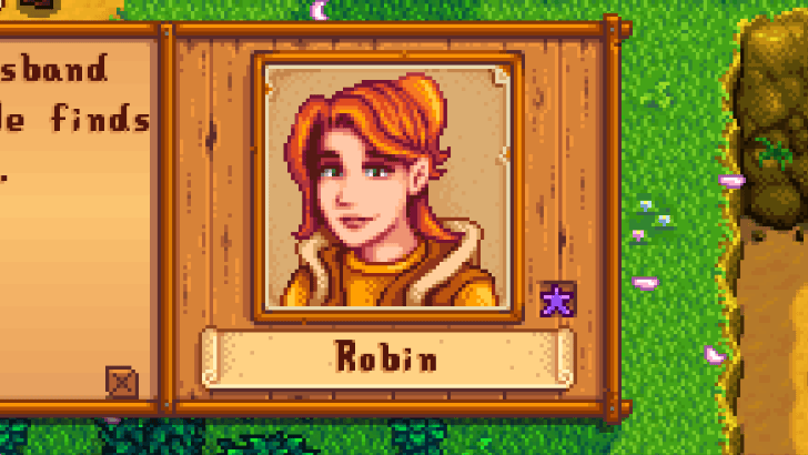 stardew valley robin