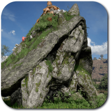 Queen Stoneback Crab