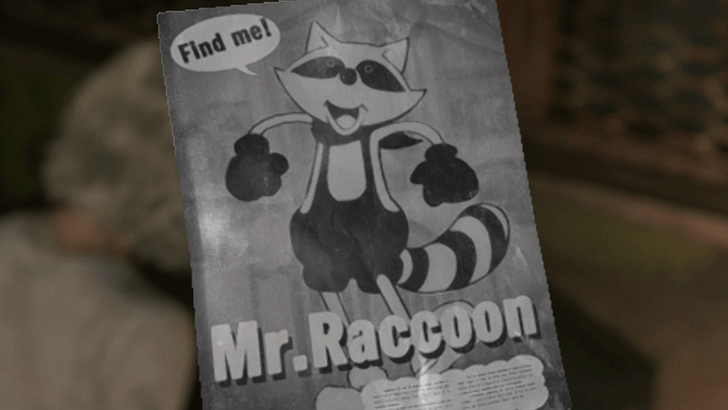 Mr Raccoon