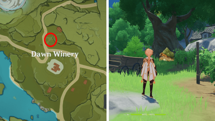 Genshin - Echoes of Memory Stage 3 - Tent Tortoise