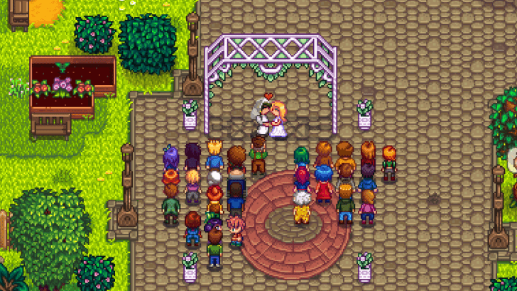 stardew marry haley