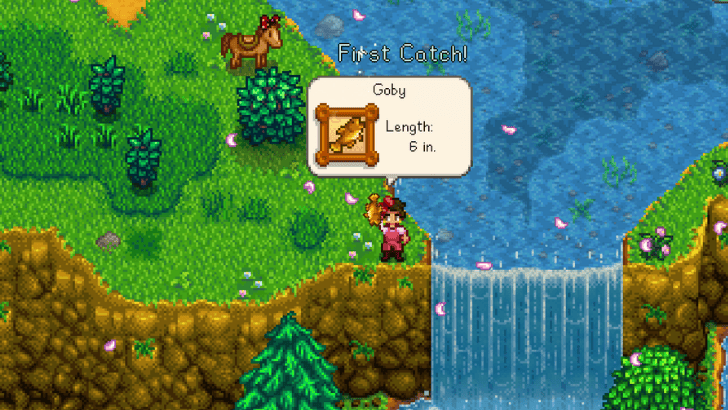 stardew valley fishing in forest area