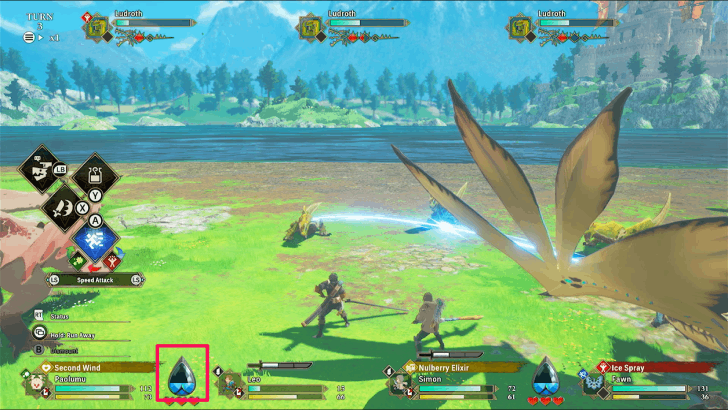 Kinship Gaugemode:show