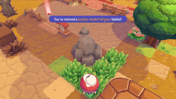 Boulder-Shaded Tall Grass