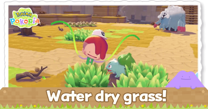 Pokemon Pokopia - Water dry grass