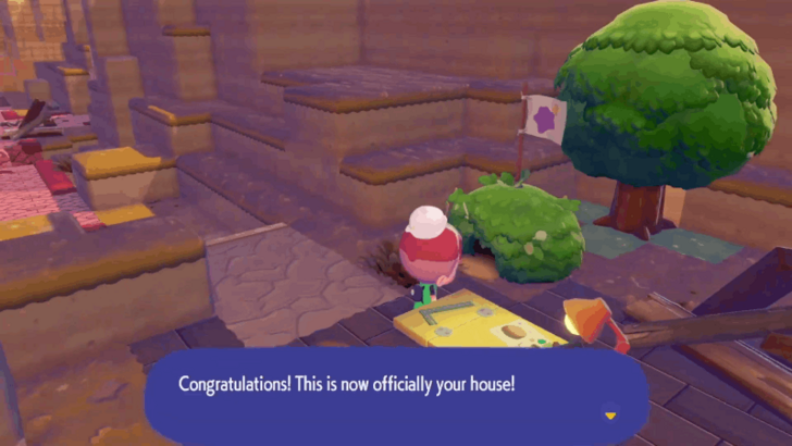 Place Ditto Flag on your house