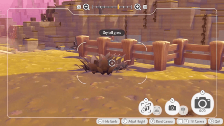 Identify Items and Take Reference Photos