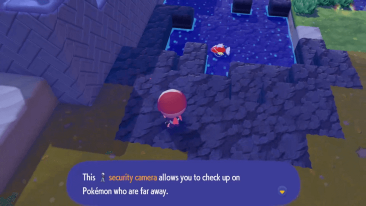 Security Camera Description