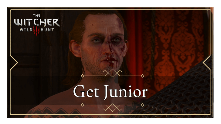 The Witcher 3 Wild Hunt - Get Junior