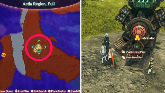 Ferronis for Purple-Ring Pine