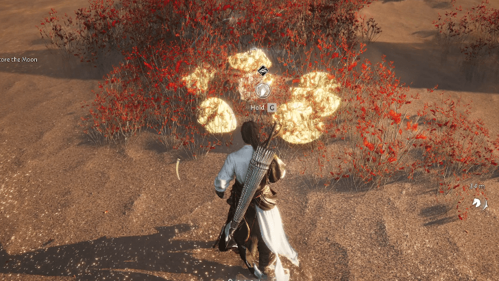 Restore the Moon Shadow Lantern