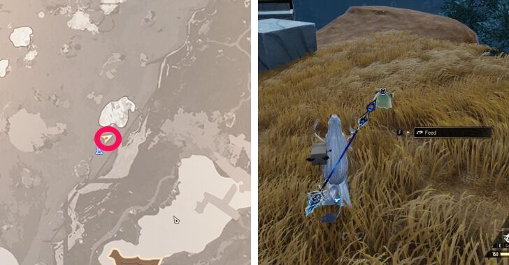 Luminous Jellomon - Locations