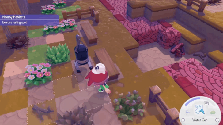 Exercise Resting Spot Habitat