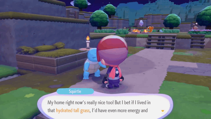 Talk to Squirtle again