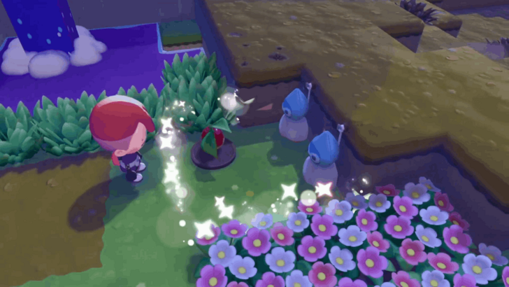 Rain Dance Site Habitat