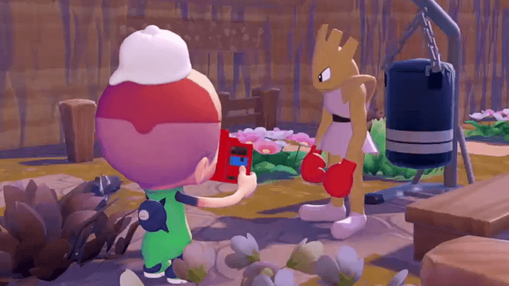 Pokopia - Unlikely to Find Shiny