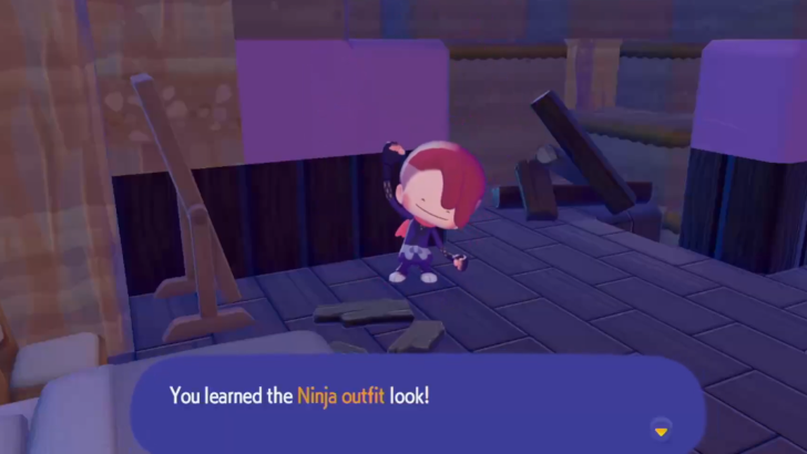 You learned the Ninja Outfit look