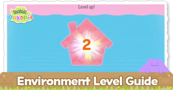 Environment Level Guide