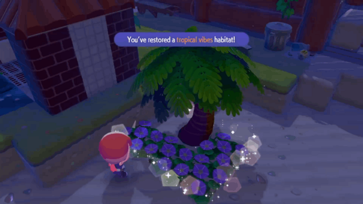 Tropical Vibes habitat