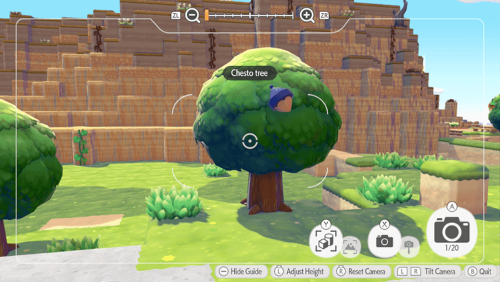 Take Reference Photos