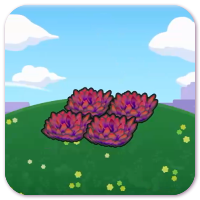 Elevated red tall grass