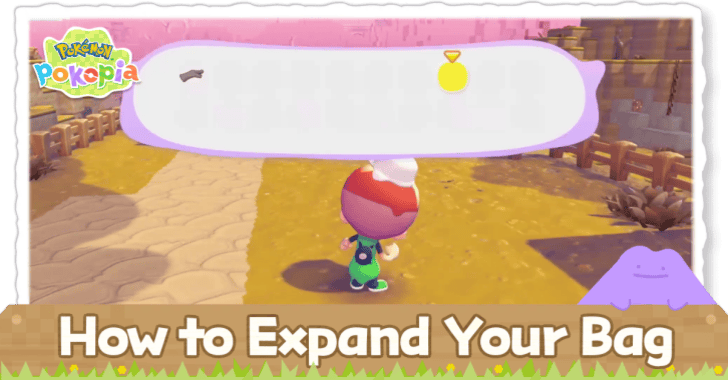 How to Expand Your Bag