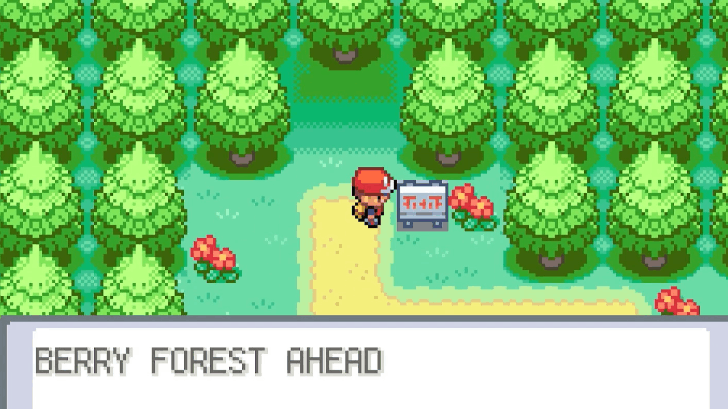 Three Island Berry Forest Entrance