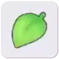 Leaf