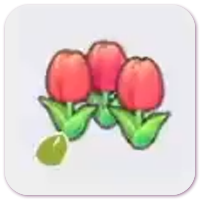 Cute-flower seeds