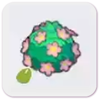 Adorable-hedge seeds