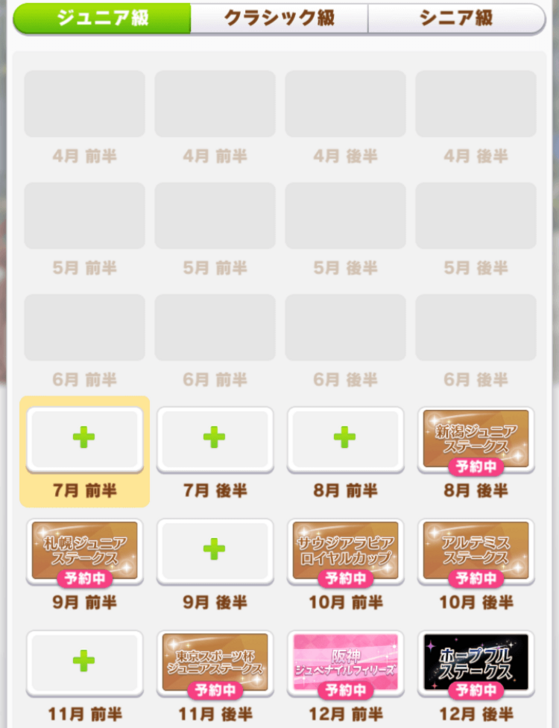 Turf Mile Medium Race Junior