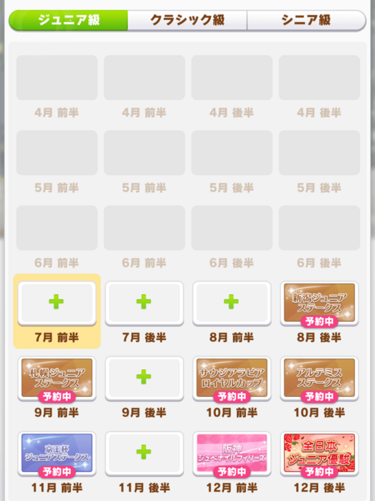 Dirt Turf Sprint Medium Race Junior