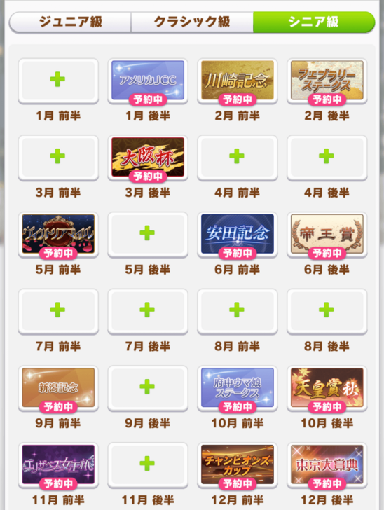 Dirt Turf Sprint Medium Race Senior