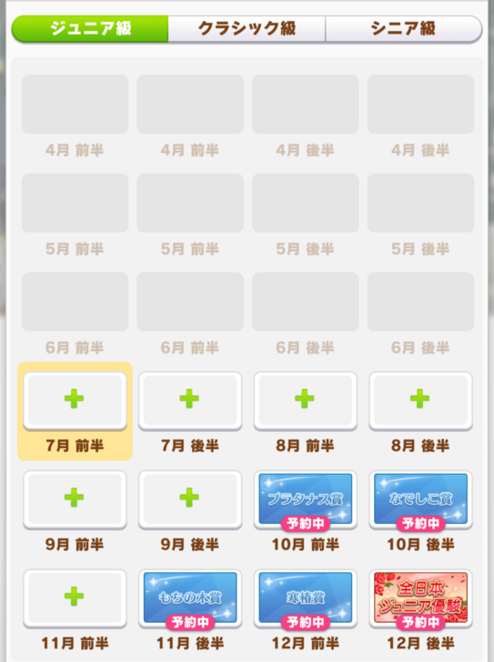 Dirt Sprint Medium Race Junior